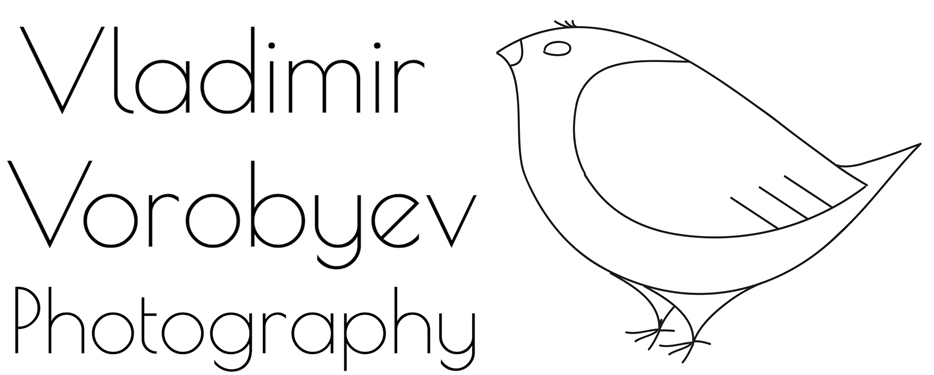 фотограф Владимир Воробьёв фотограф Владимир Воробьёв