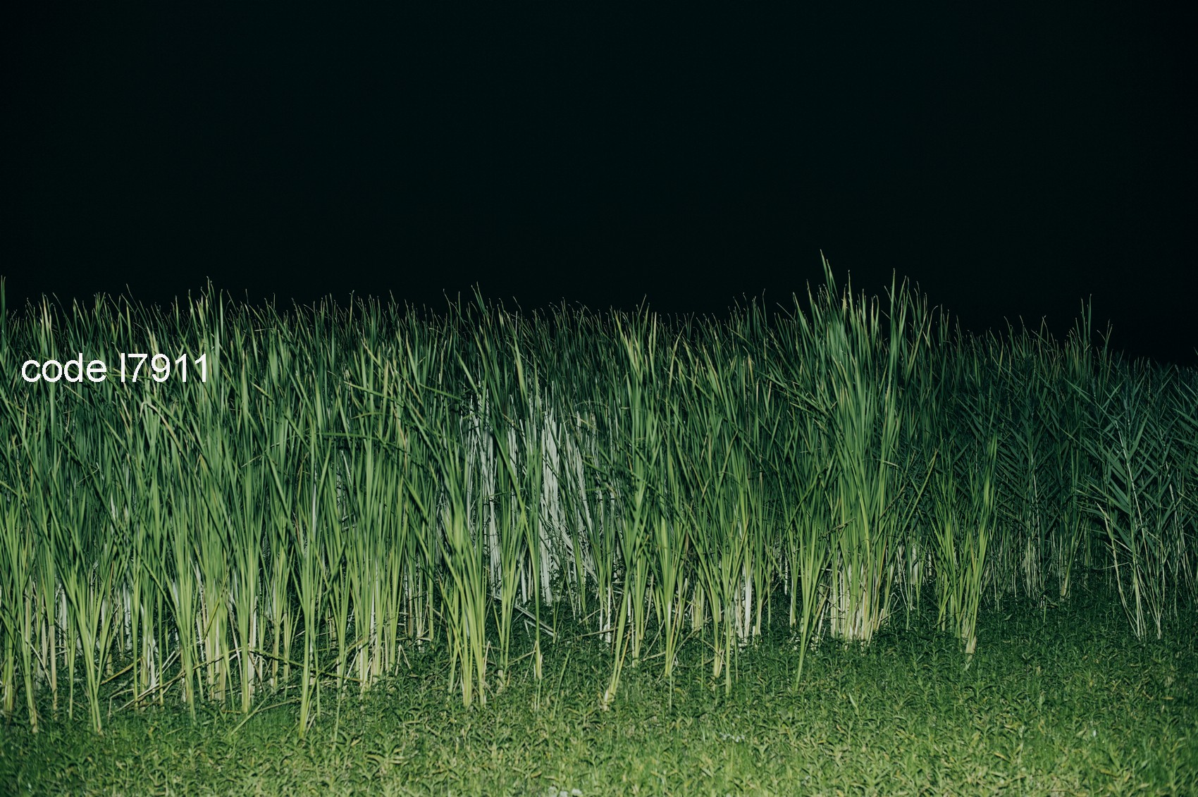 креативный фотограф, рекламный фотограф москва, фешн фотограф, съемка портретов москва,