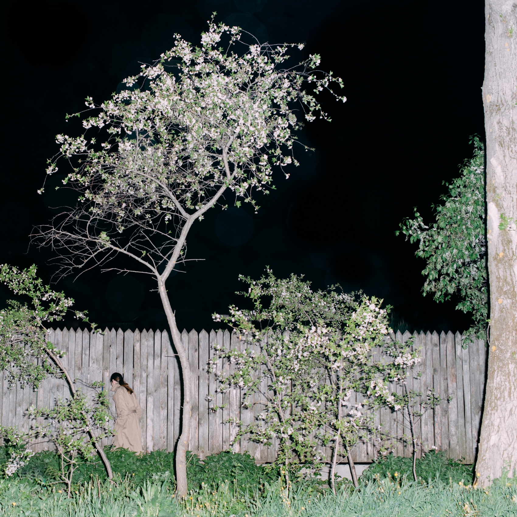 креативный фотограф, рекламный фотограф москва, фешн фотограф, съемка портретов москва,