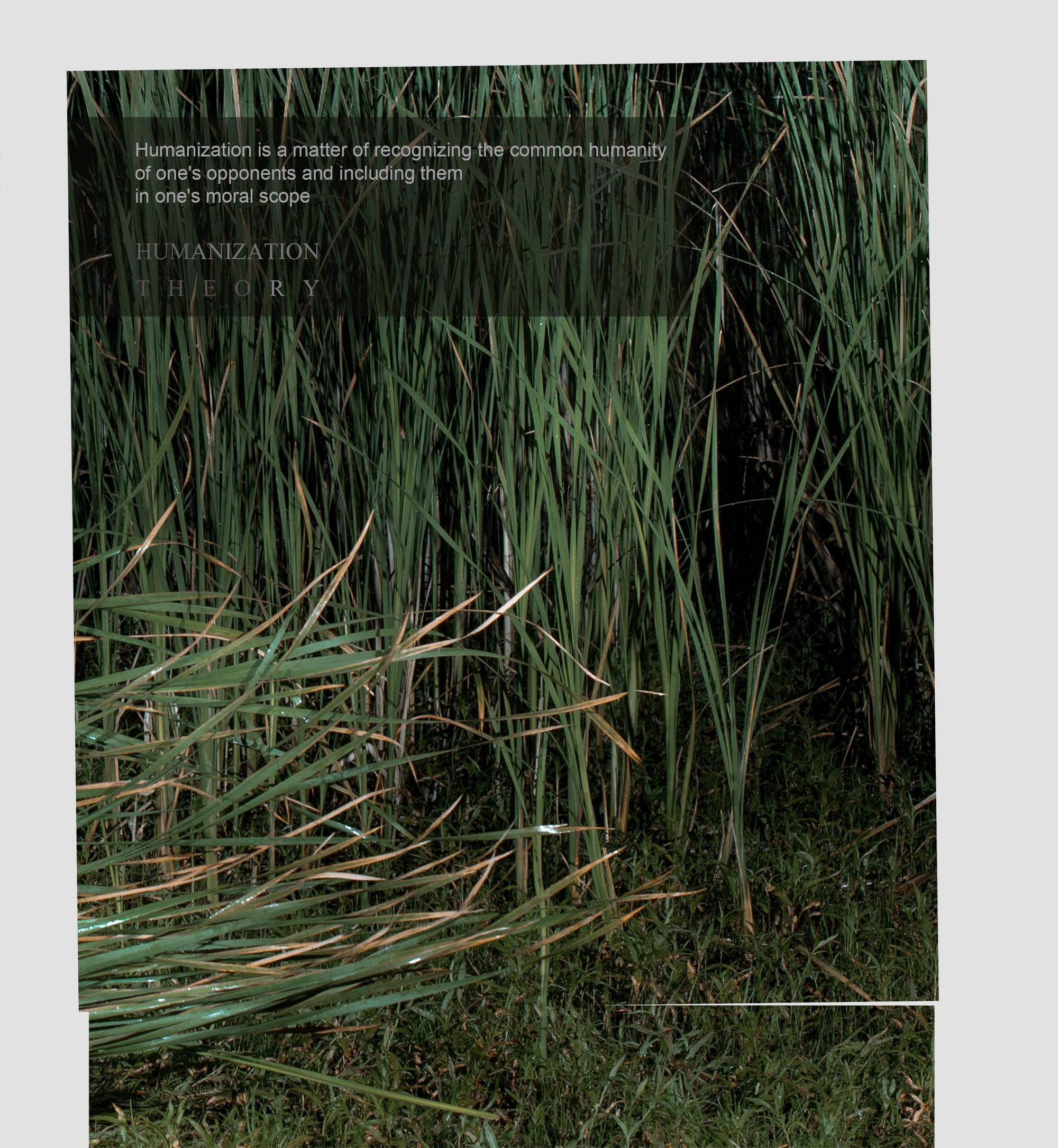 креативный фотограф, рекламный фотограф москва, фешн фотограф, съемка портретов москва,