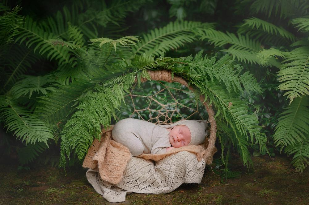 Newborn
