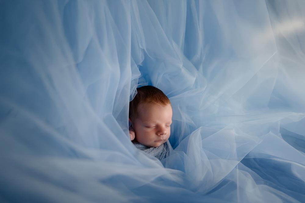 Newborn