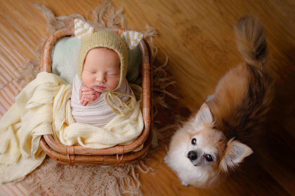 Newborn