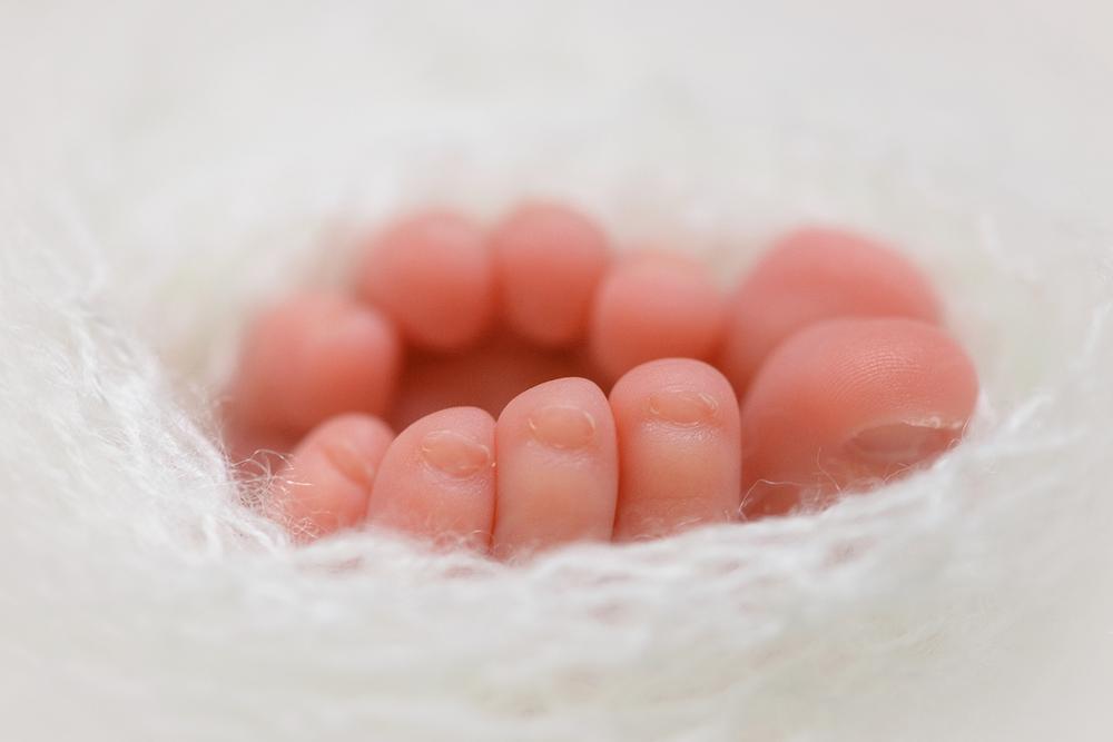Newborn