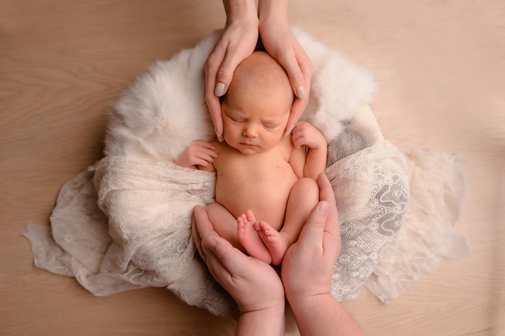 Newborn