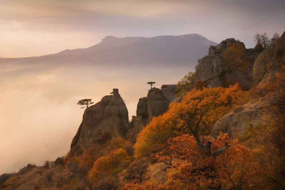 Anjela Sarkisyanning yalangoch fotosuratlari