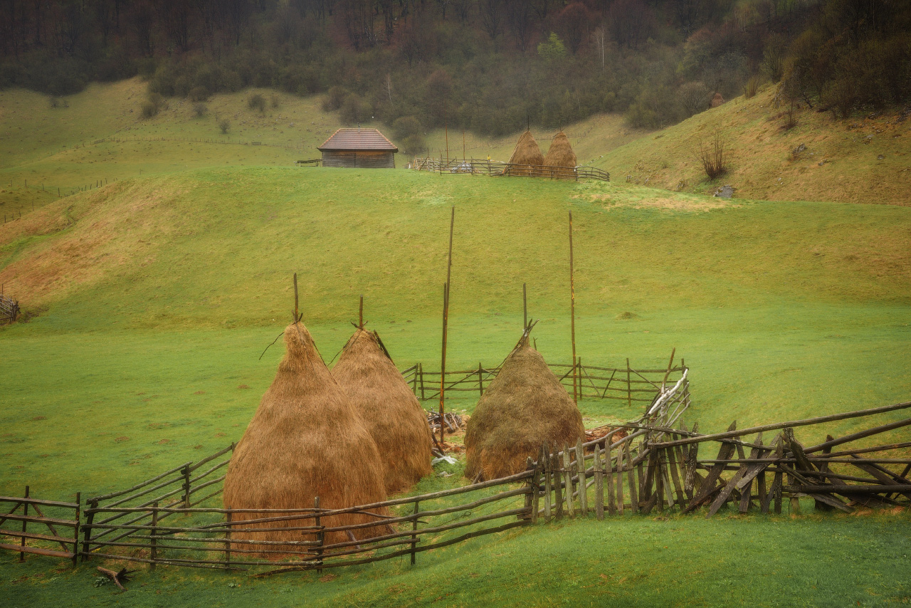 румыния с фототур орг
