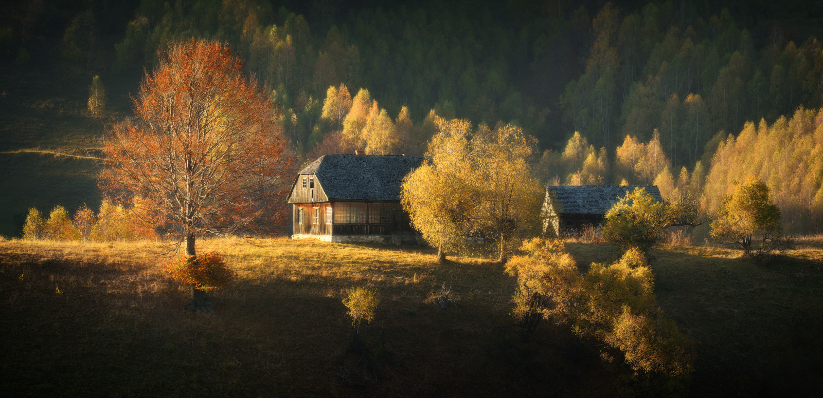 румыния авторские фототуры в европу 