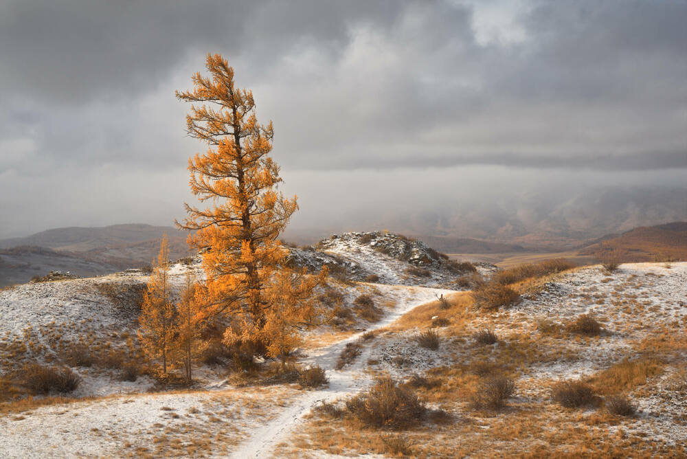 Sochni ushlab turgan chiroyli minut