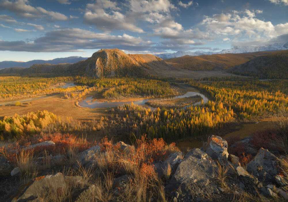 Ukrainaning Nikolaev viloyati, Voznesensk shahridagi fohishalar
