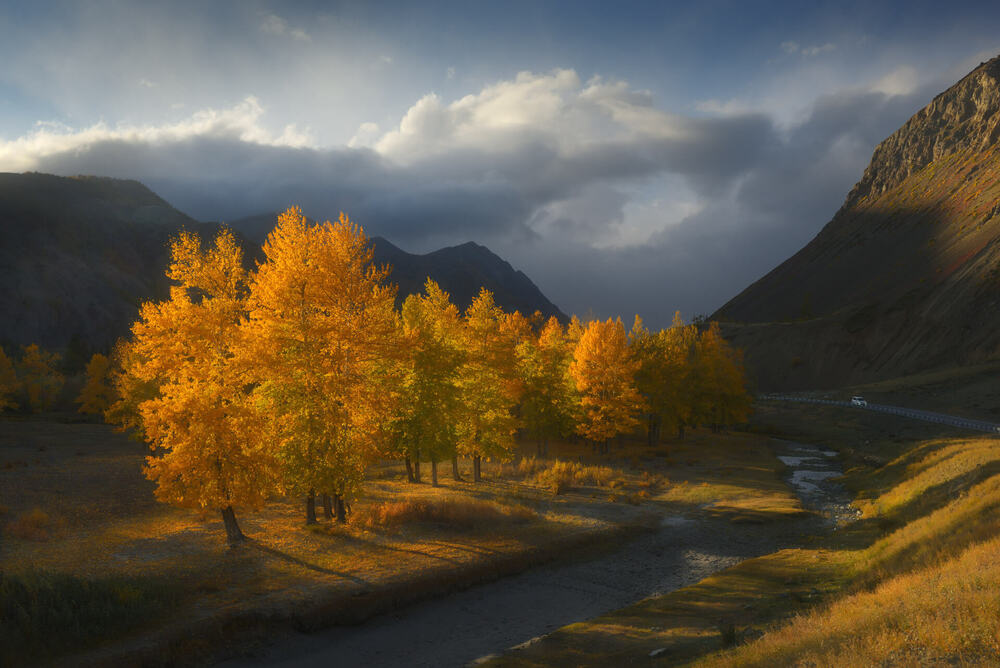 Vaginal kengaytiruvchi porno video