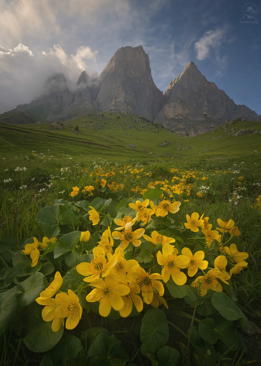 Semiz ayollarning kokraklari