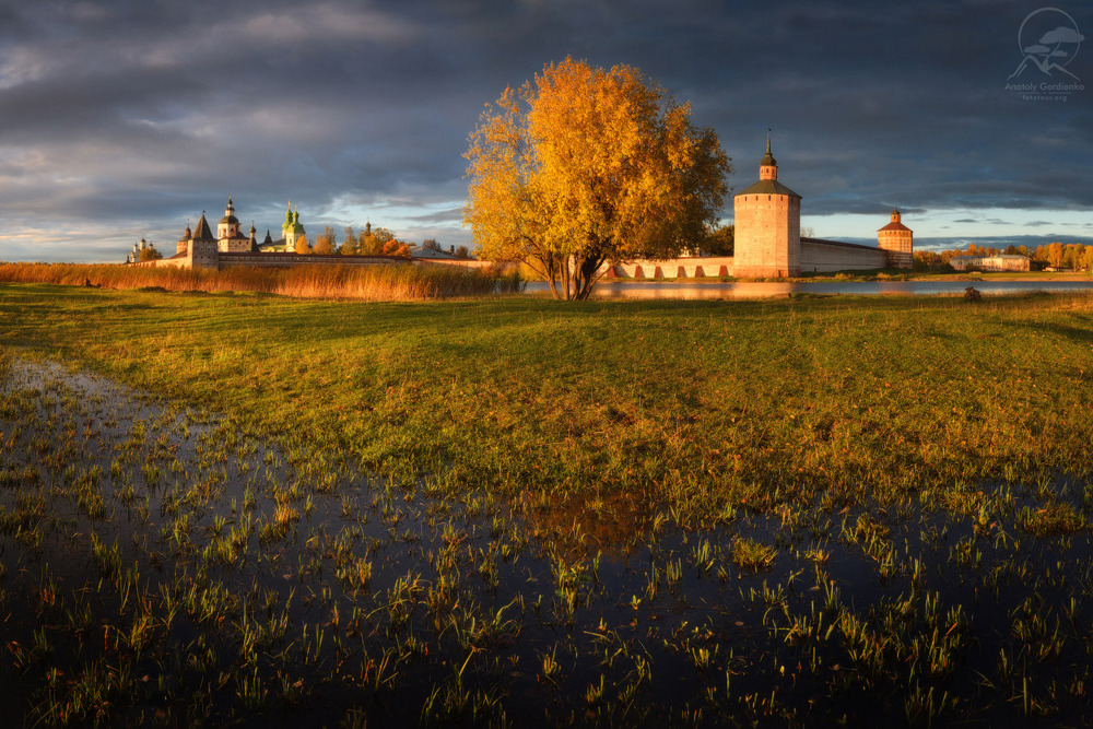 Yoshlarning yuzidagi tirsaklar (porno videolar toplami)