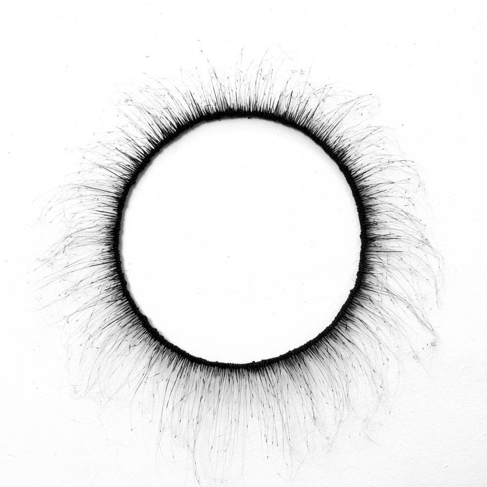 NOVA, 2016