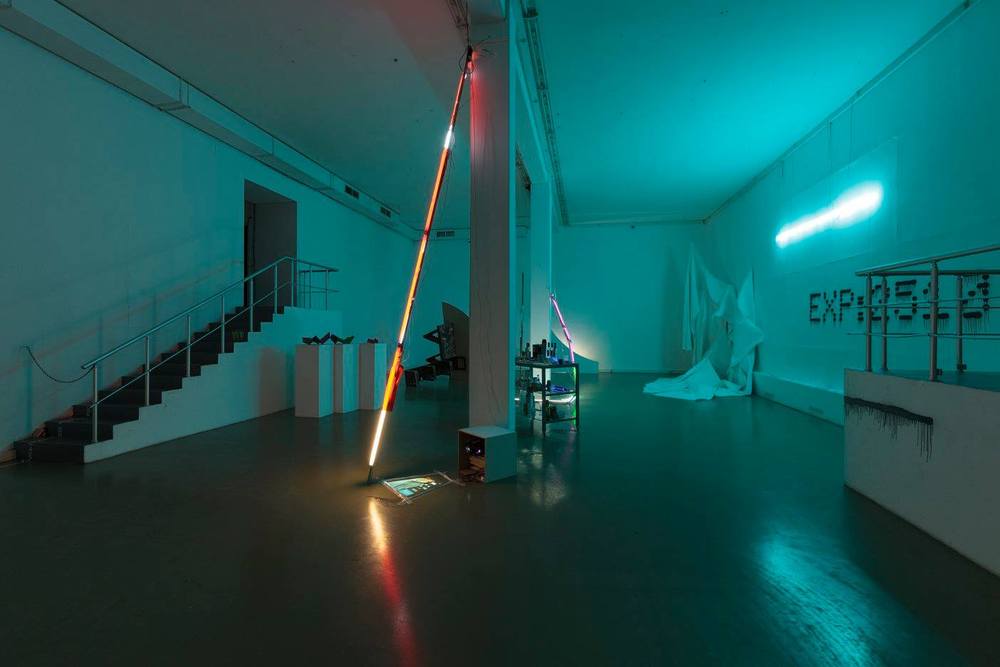 WE ARE INSTRUCTED WITH INTERNAL REGIME, XL gallery, Moscow, 2016