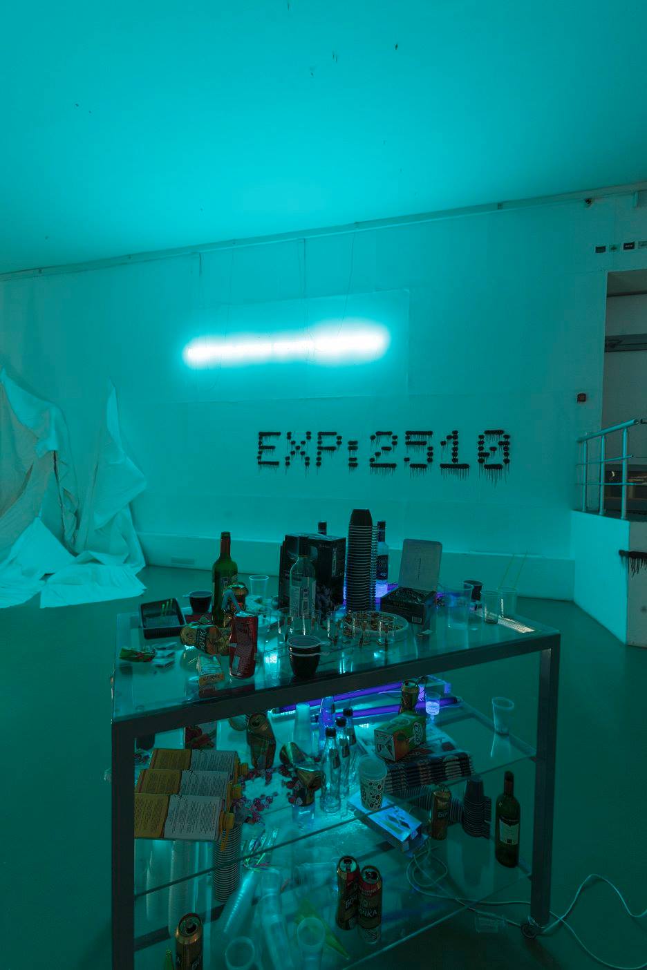 WE ARE INSTRUCTED WITH INTERNAL REGIME, XL gallery, Moscow, 2016