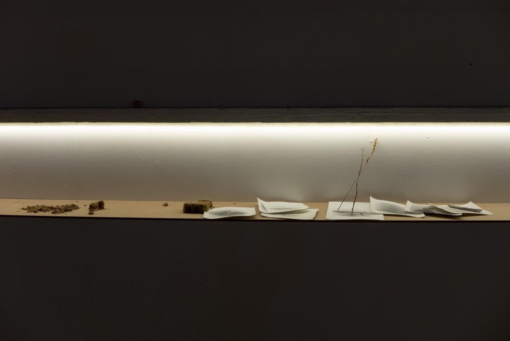 EXPEDITION 17 / part one, Elektrozavod gallery, Moscow, 2017