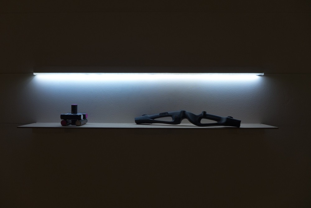 EXPEDITION 17 / part one, Elektrozavod gallery, Moscow, 2017
