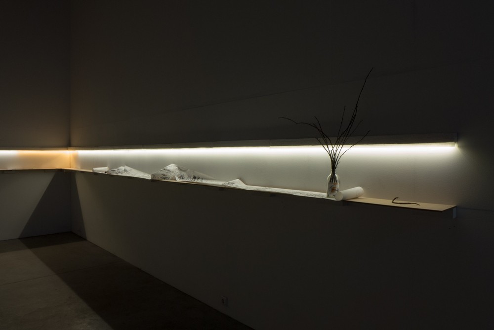 EXPEDITION 17 / part one, Elektrozavod gallery, Moscow, 2017