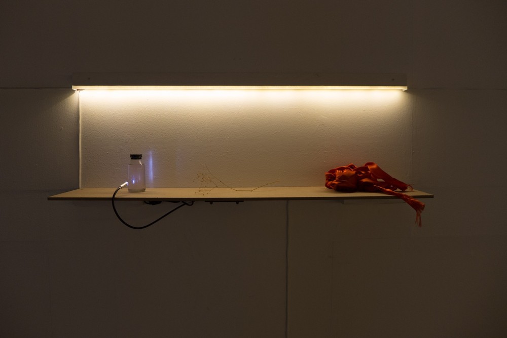 EXPEDITION 17 / part one, Elektrozavod gallery, Moscow, 2017