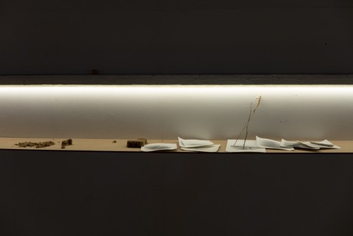 EXPEDITION 17 / part one, Elektrozavod gallery, Moscow, 2017