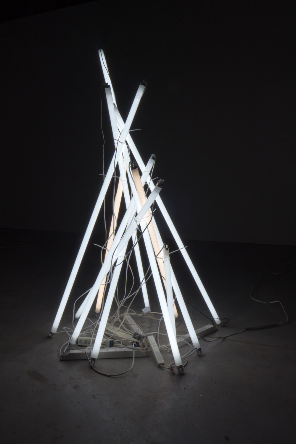 FUNCTION LIGHT, 2017