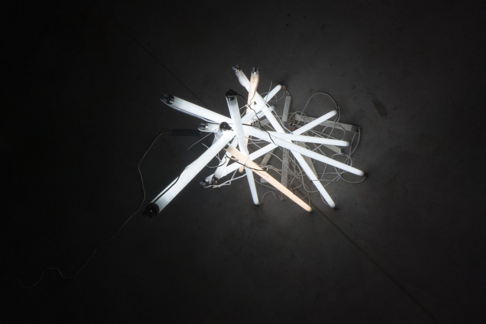 FUNCTION LIGHT, 2017