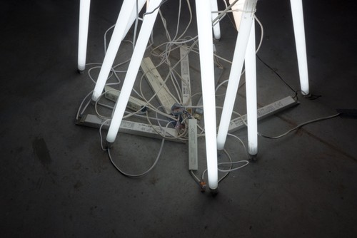 FUNCTION LIGHT, 2017