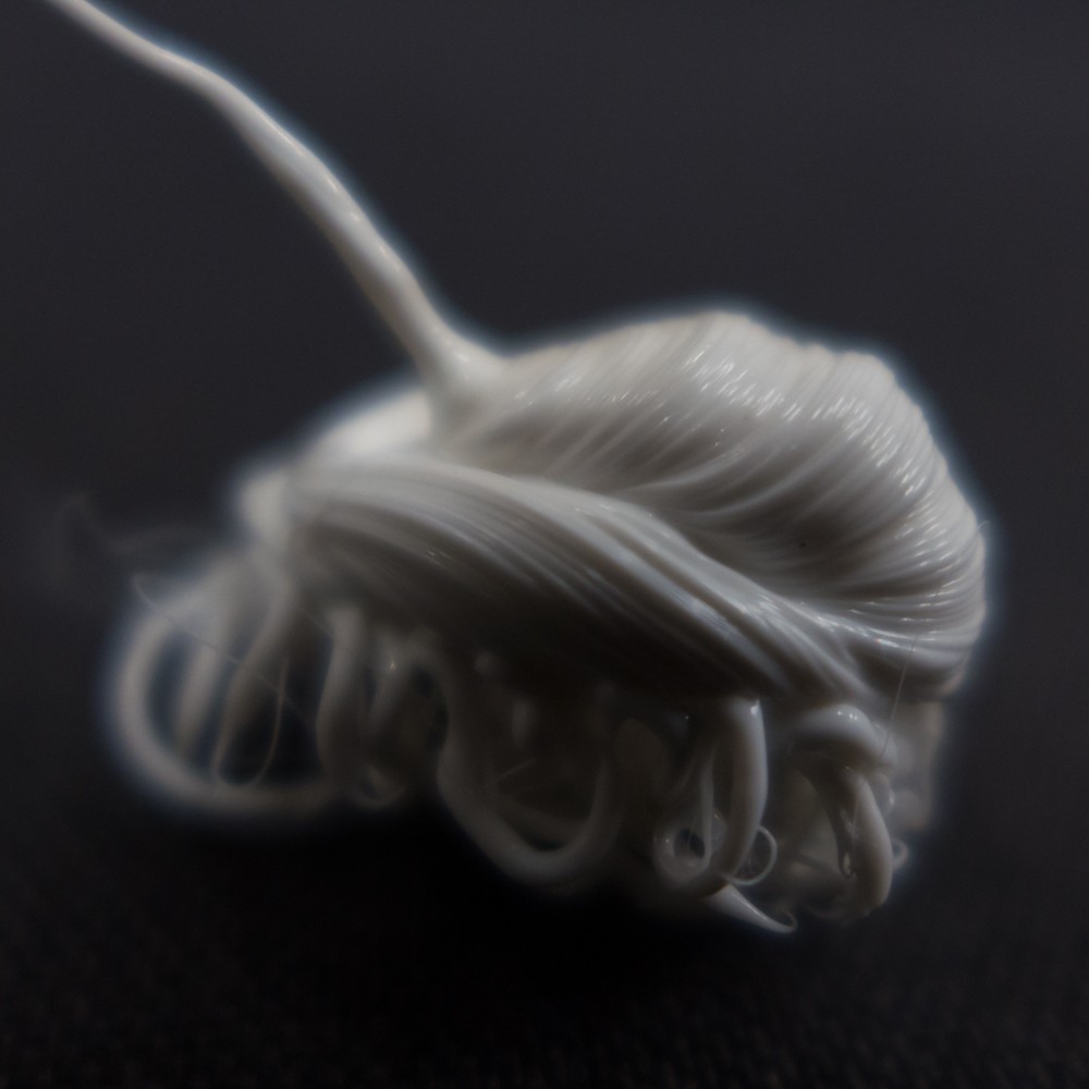 LIFEFORMS, 2017-2019