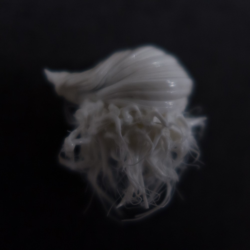 LIFEFORMS, 2017-2019