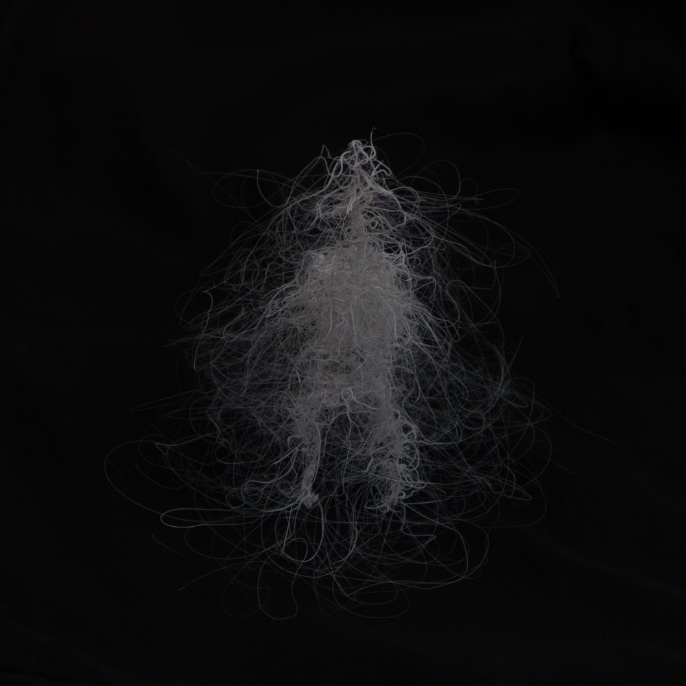 LIFEFORMS, 2017-2019