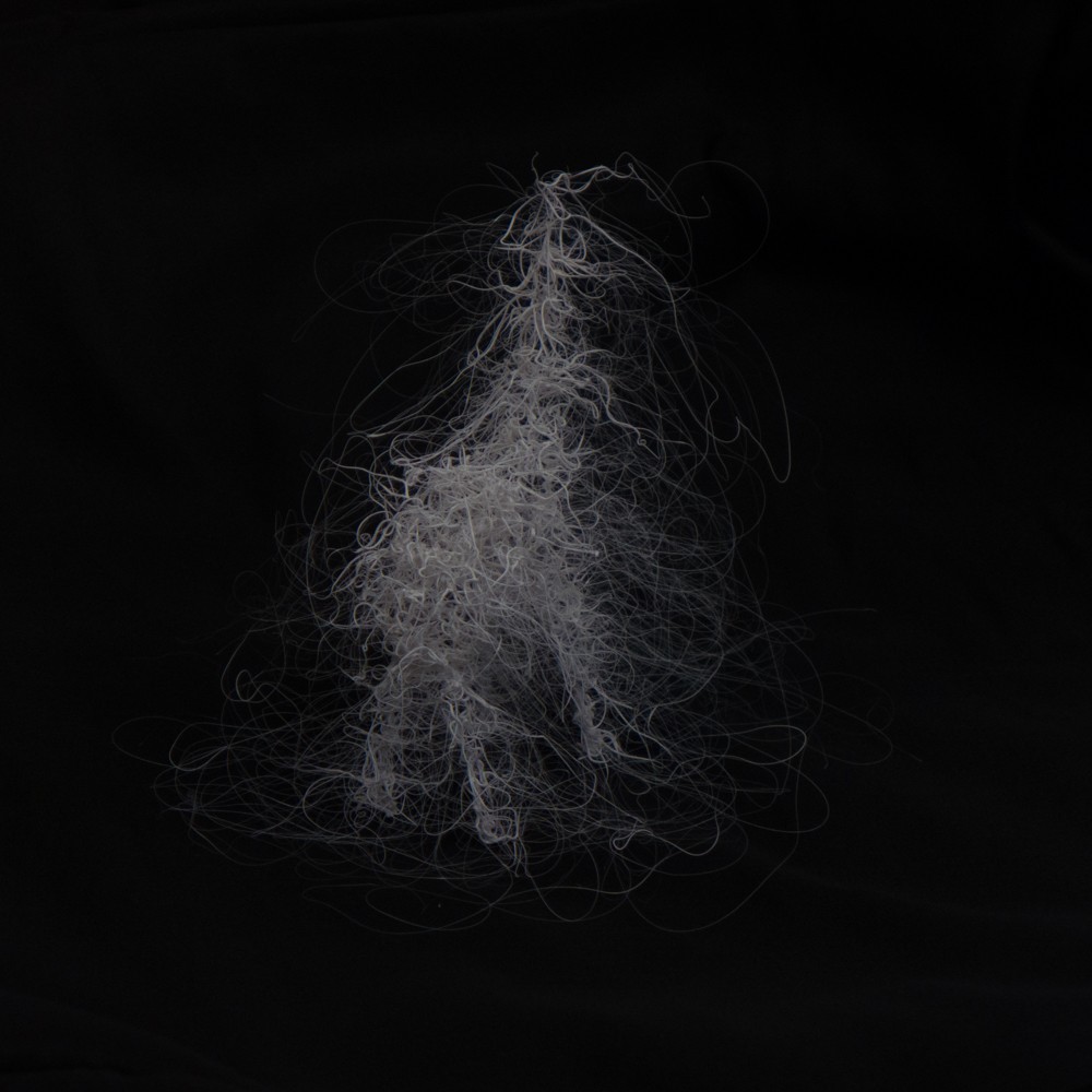 LIFEFORMS, 2017-2019