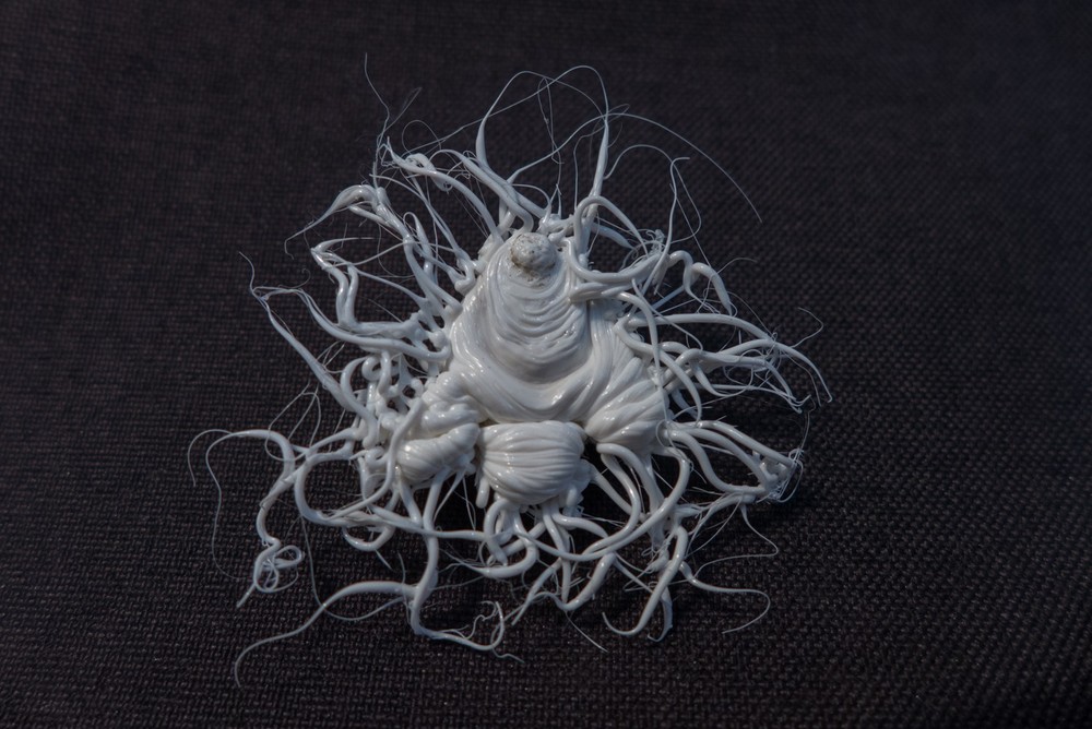 LIFEFORMS, 2017-2019