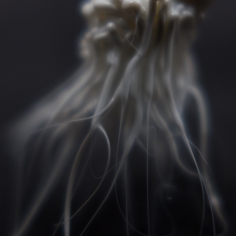 LIFEFORMS, 2017-2019