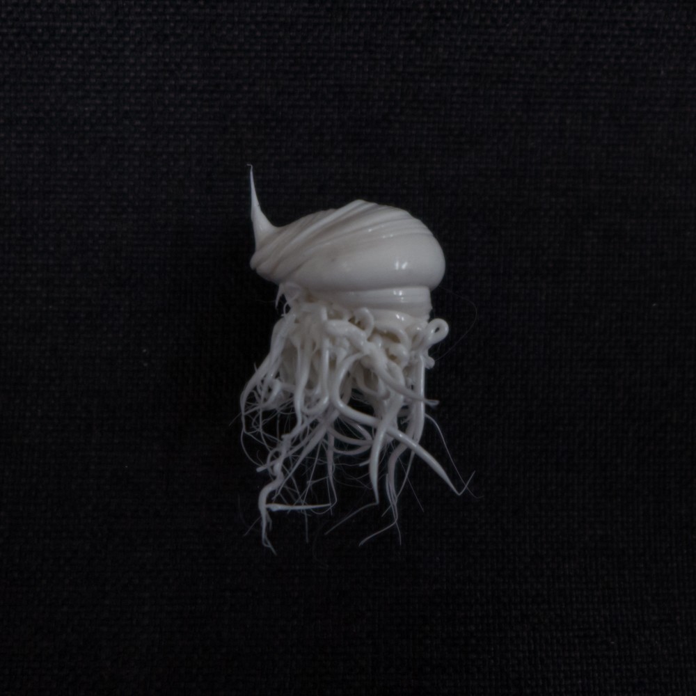 LIFEFORMS, 2017-2019
