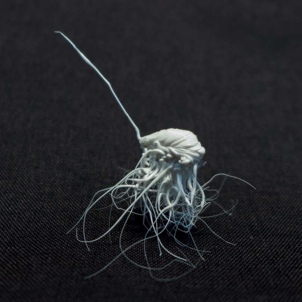 LIFEFORMS, 2017-2019