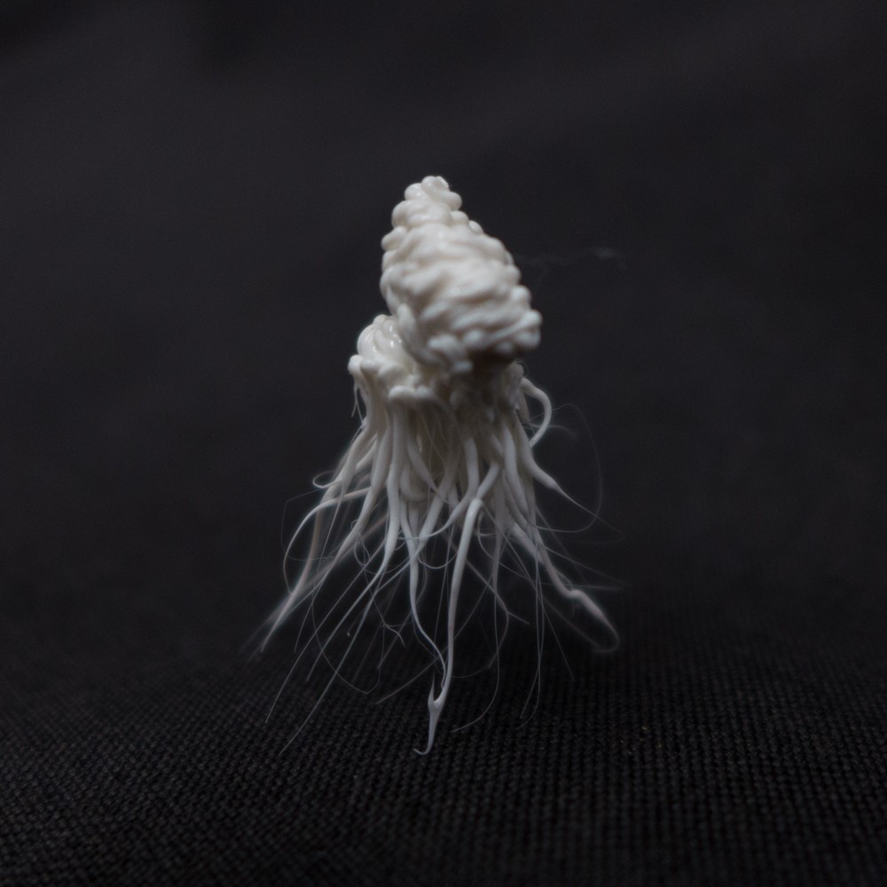 LIFEFORMS, 2017-2019