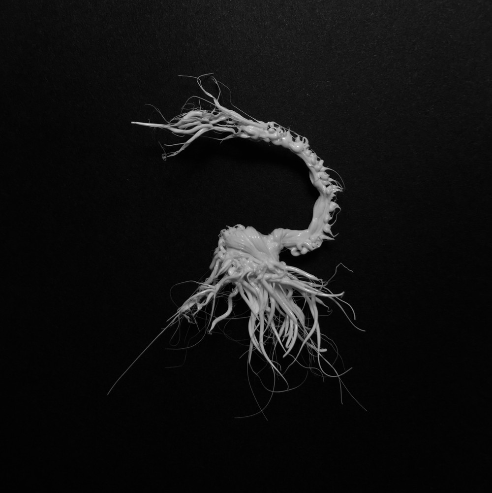 LIFEFORMS, 2017-2019
