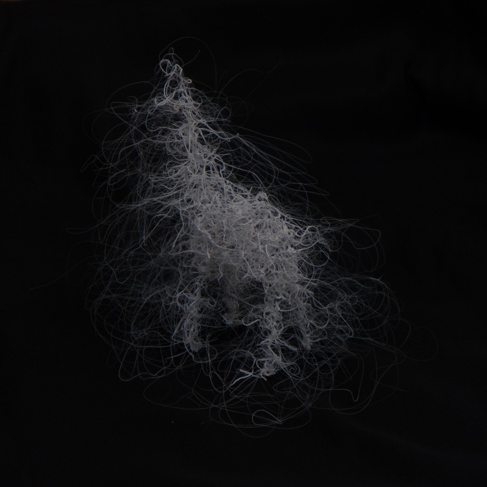 LIFEFORMS, 2017-2019