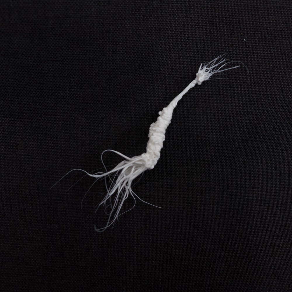 LIFEFORMS, 2017-2019