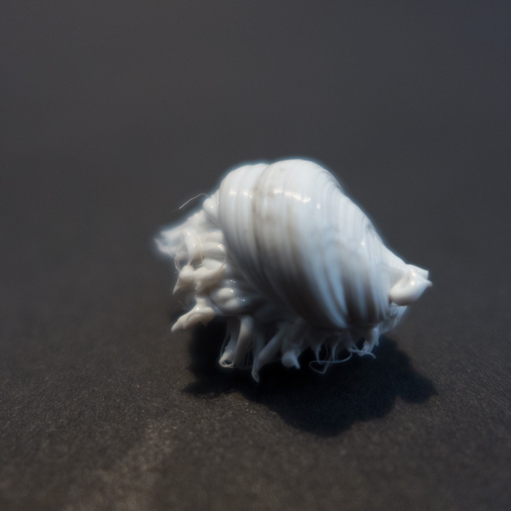 LIFEFORMS, 2017-2019