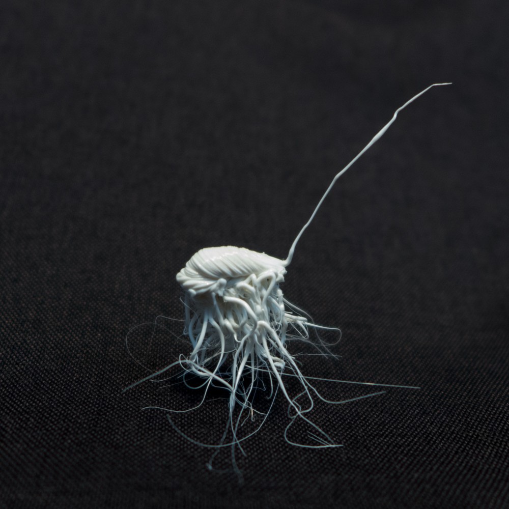 LIFEFORMS, 2017-2019