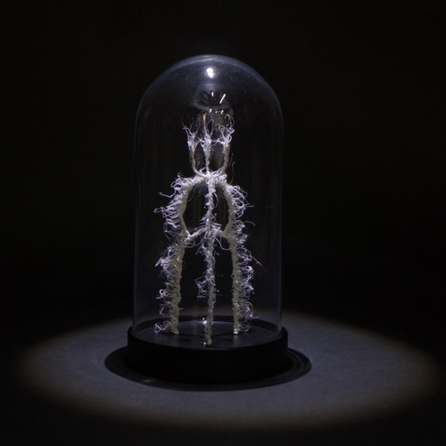 LIFEFORMS, 2017-2019