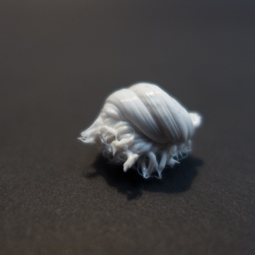 LIFEFORMS, 2017-2019
