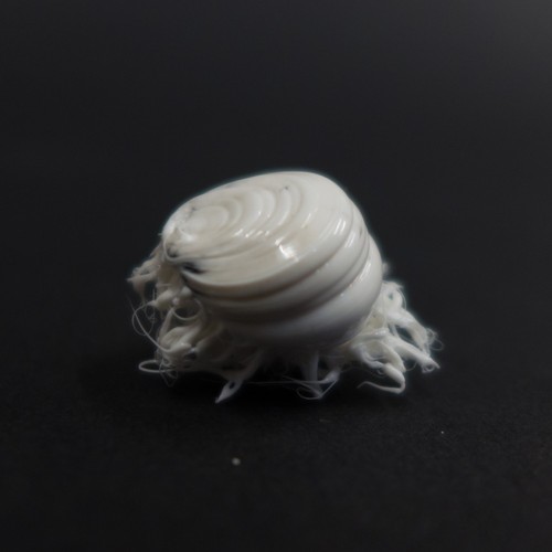 LIFEFORMS, 2017-2019