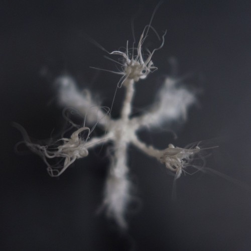 LIFEFORMS, 2017-2019