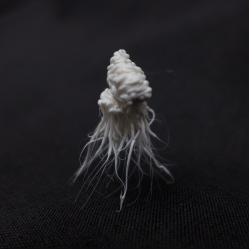 LIFEFORMS, 2017-2019