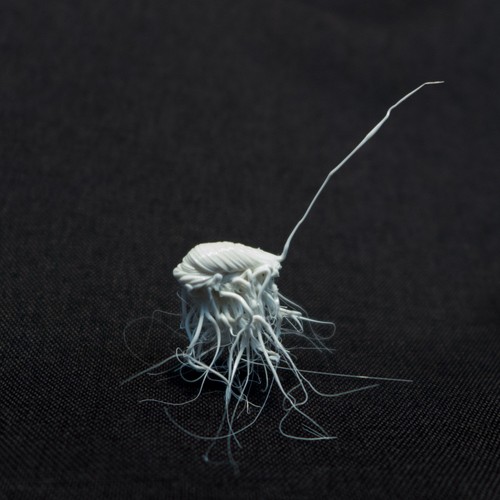 LIFEFORMS, 2017-2019