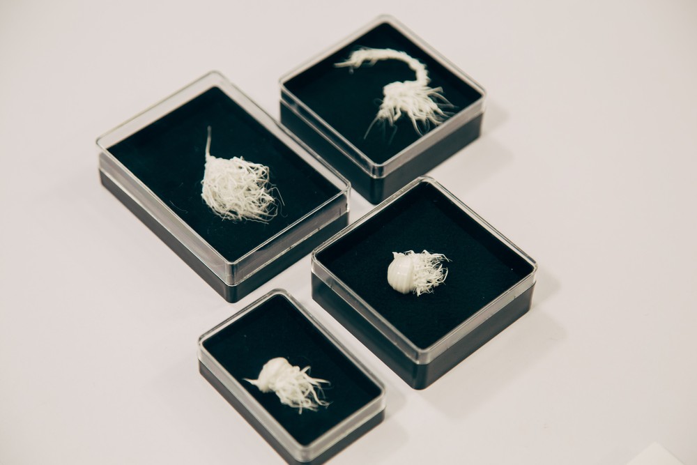TAIWAN ANNUAL Contemporary Art Exhibition​, Taipei, 2019