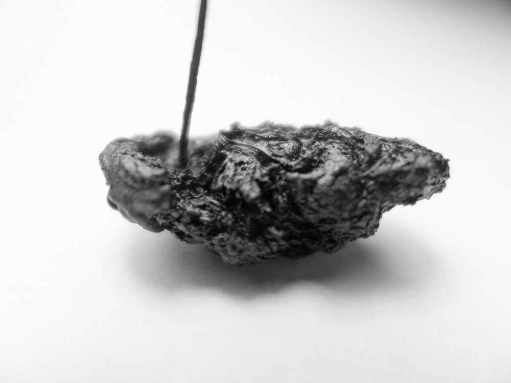 CORIUM, 2020